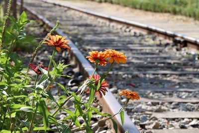 featured image